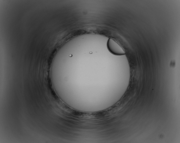 X0000101950702200807171133