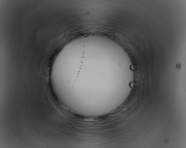 X0000101950703200807171133