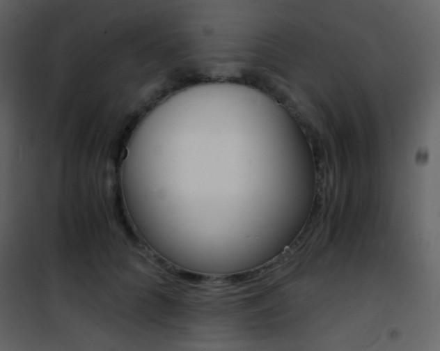 X0000101950704200807171133