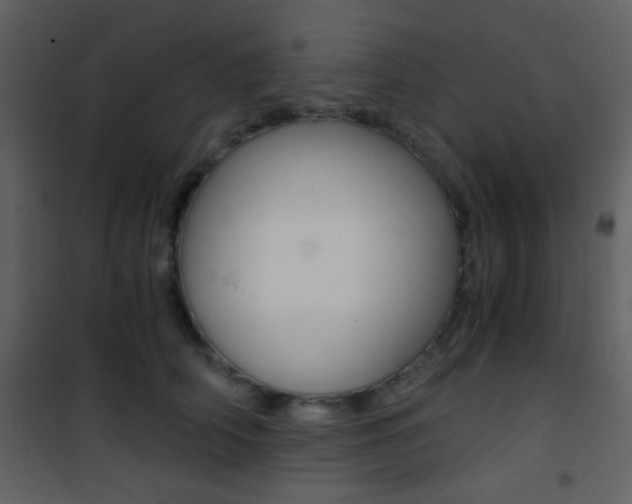 X0000101950706200807171133