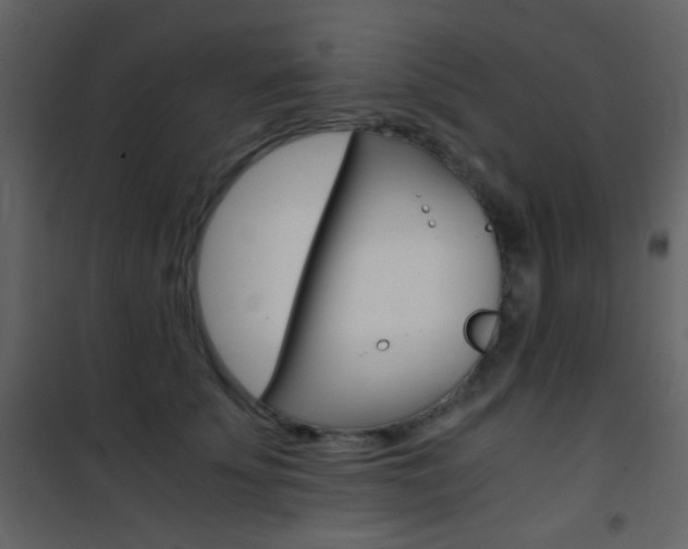 X0000101950707200807171133