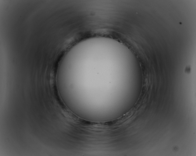 X0000101950708200807171133