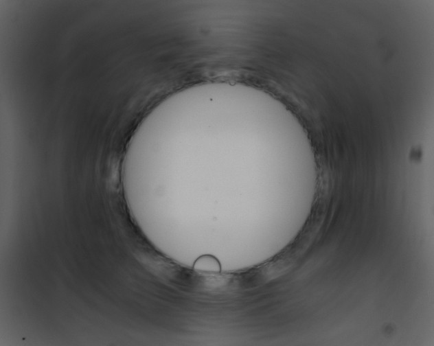 X0000101950709200807171133