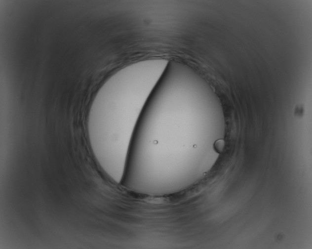 X0000101950711200807171133