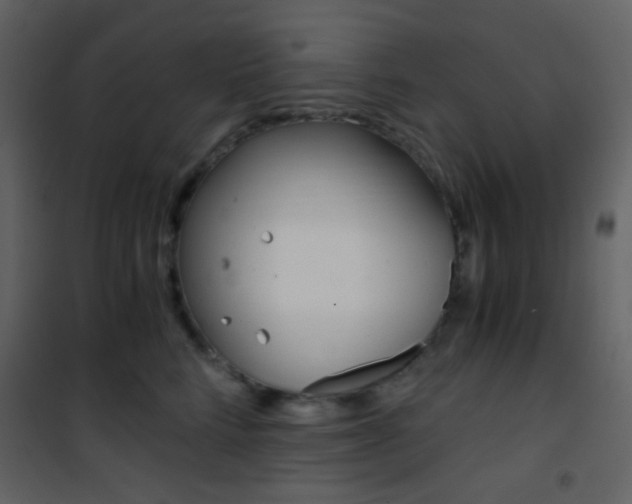 X0000101950712200807171133