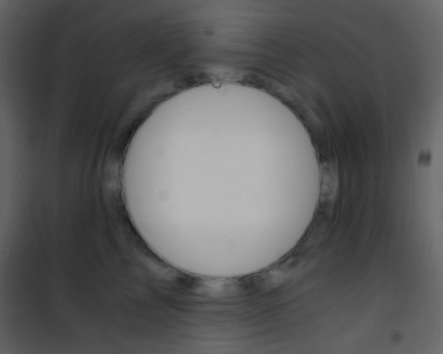 X0000101950713200807171133