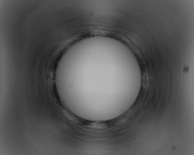 X0000101950714200807171133