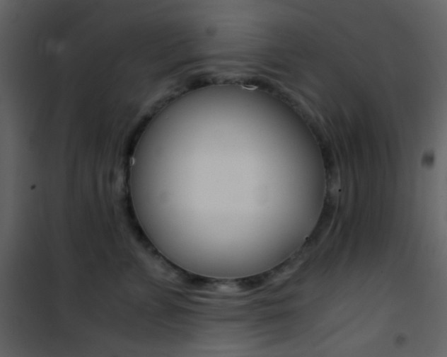 X0000101950715200807171133