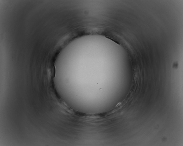 X0000101950716200807171133