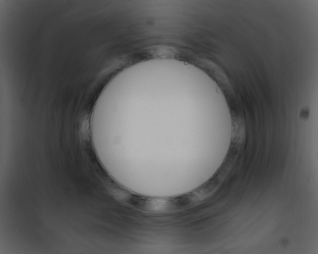 X0000101950717200807171133