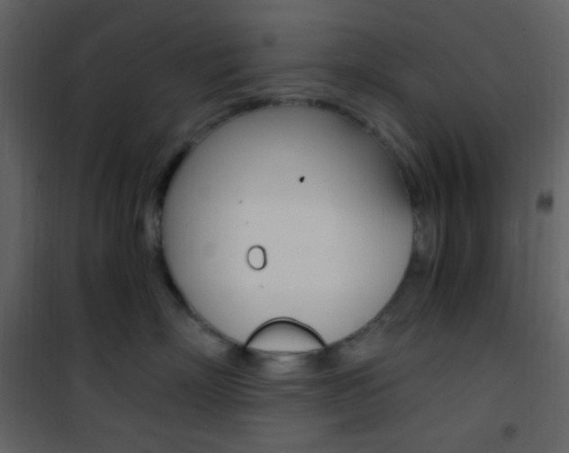X0000101950718200807171133