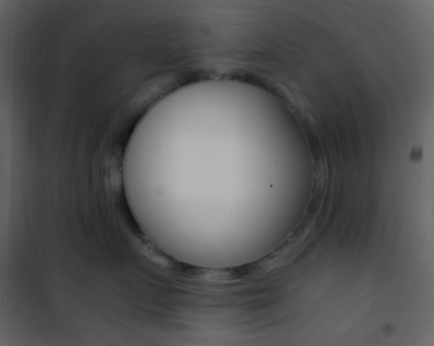 X0000101950719200807171133