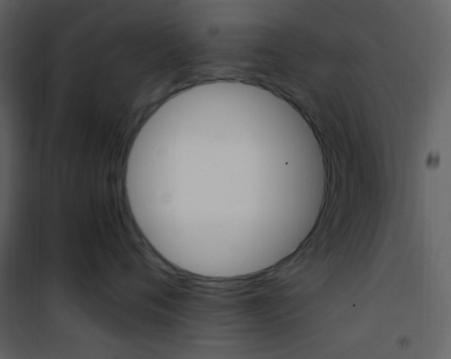 X0000101950720200807171133