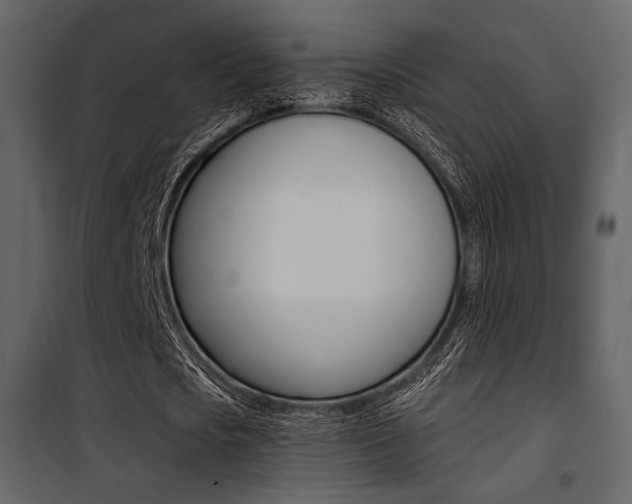 X0000101950721200807171132