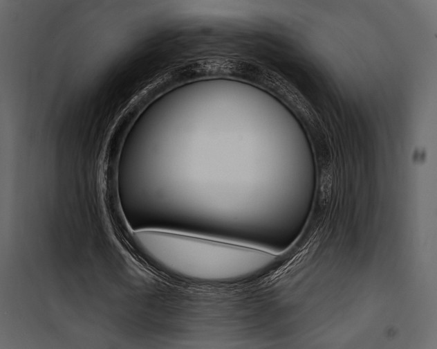 X0000101950722200807171132