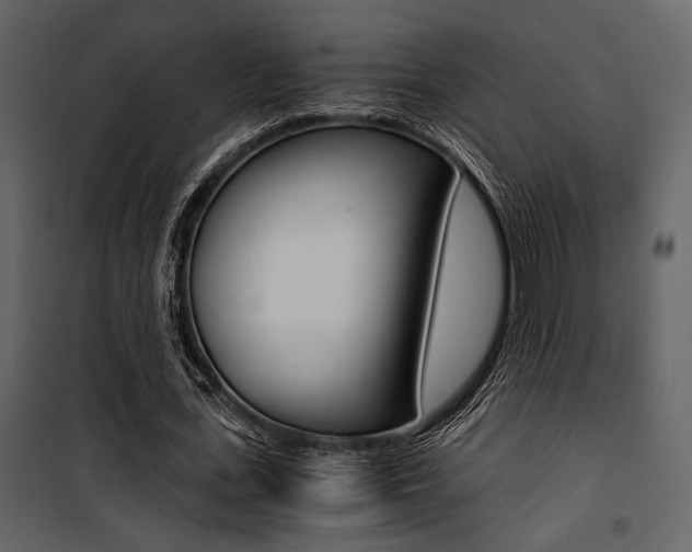 X0000101950723200807171132