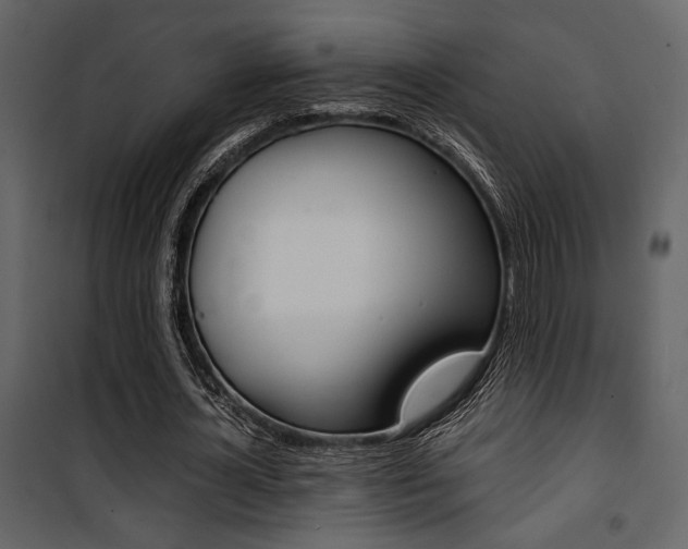 X0000101950724200807171132