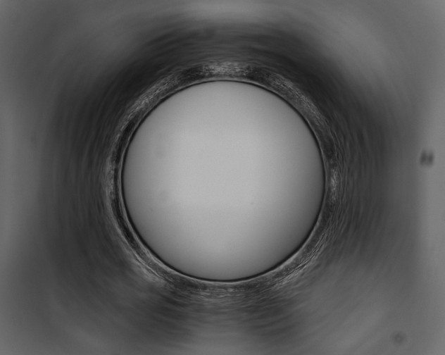 X0000101950725200807171132