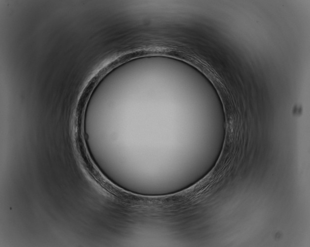 X0000101950726200807171132