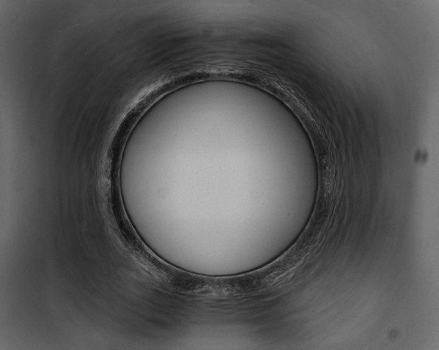X0000101950727200807171132