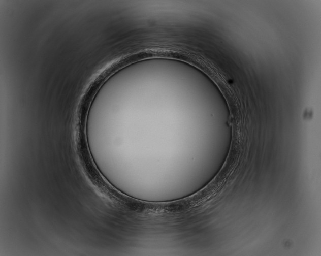 X0000101950728200807171132
