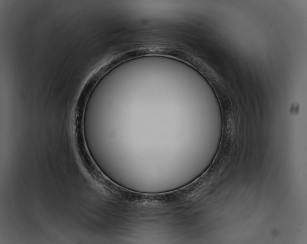 X0000101950730200807171132