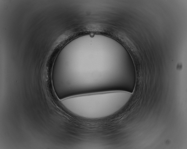 X0000101950731200807171133