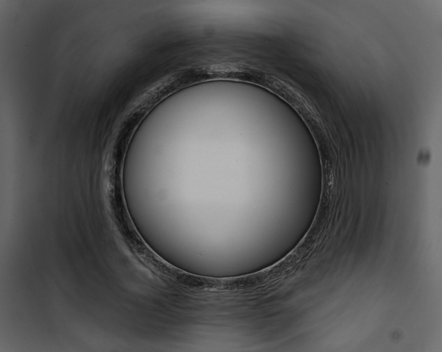 X0000101950732200807171133