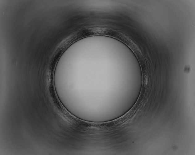 X0000101950733200807171133