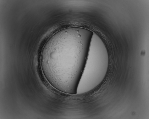 X0000101950734200807171133