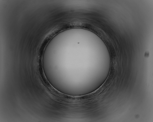 X0000101950735200807171133