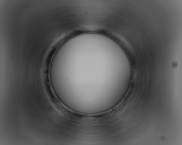 X0000101950736200807171133