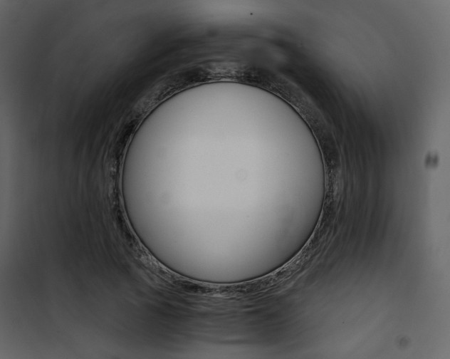 X0000101950737200807171133