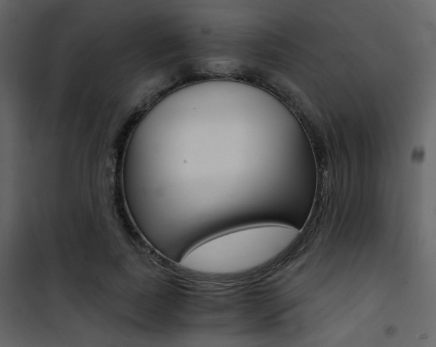 X0000101950739200807171133