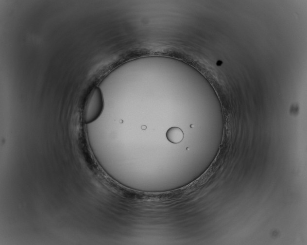 X0000101950740200807171133