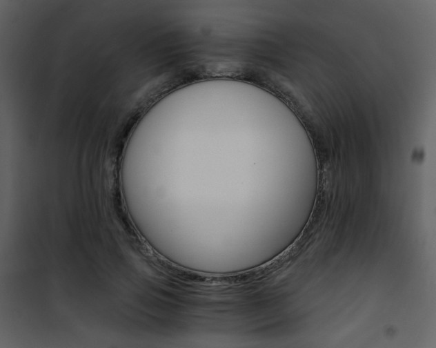 X0000101950741200807171133