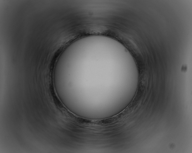 X0000101950743200807171133