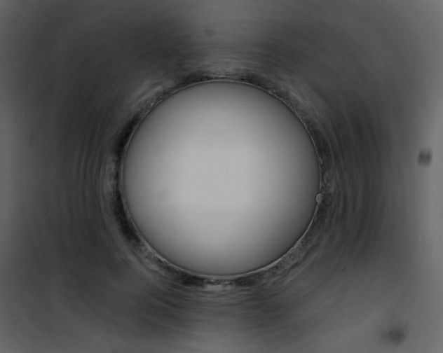 X0000101950744200807171133