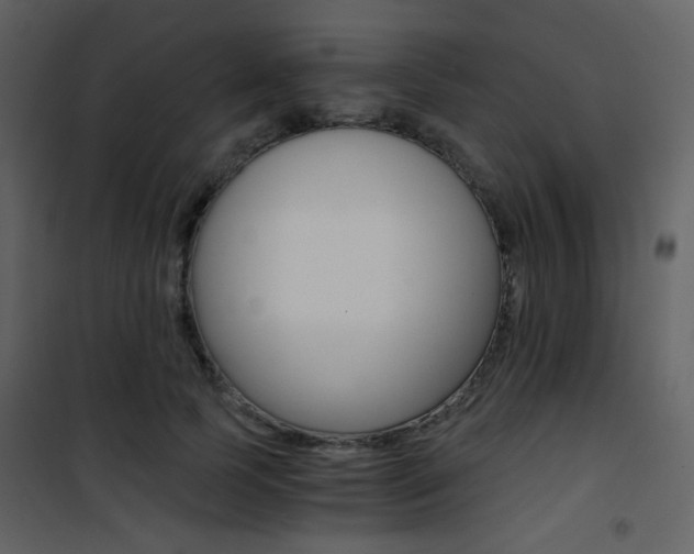 X0000101950745200807171133