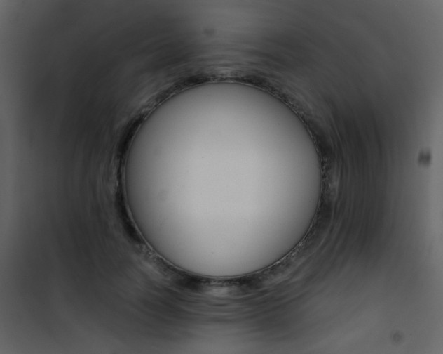 X0000101950746200807171133