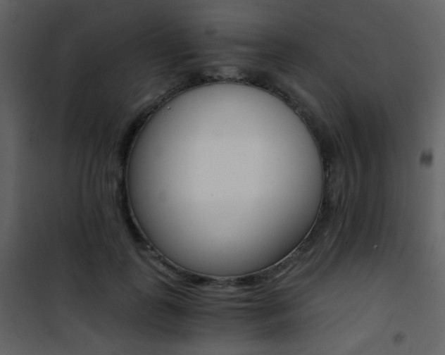 X0000101950747200807171133