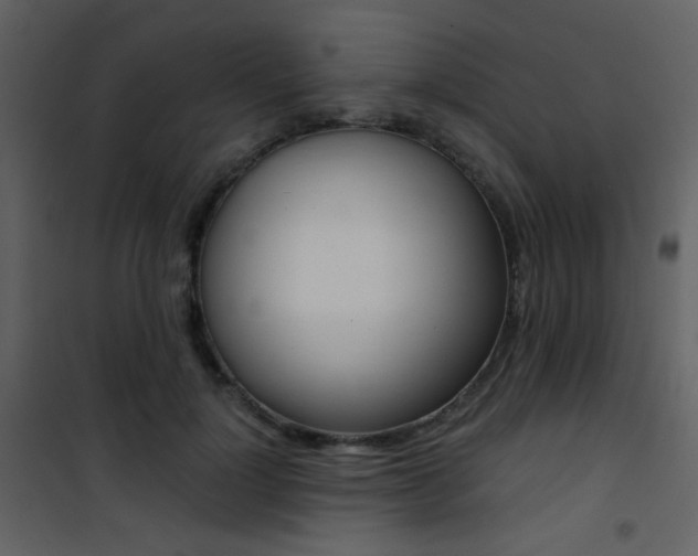 X0000101950748200807171133
