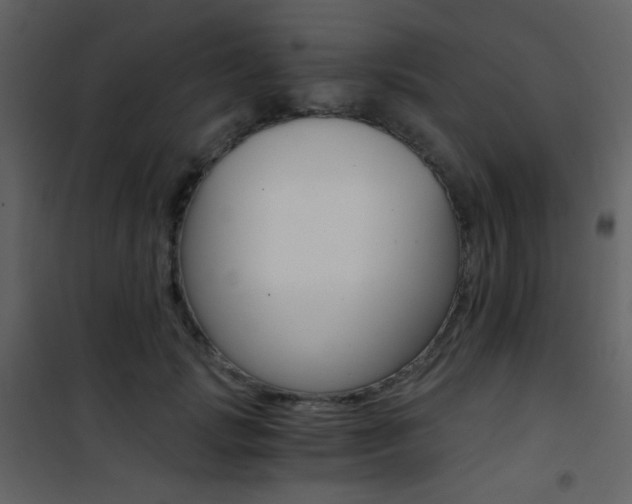 X0000101950749200807171133