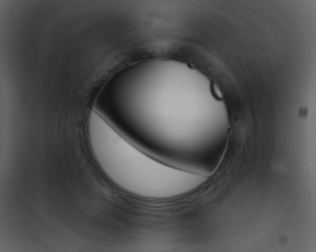 X0000101950750200807171133