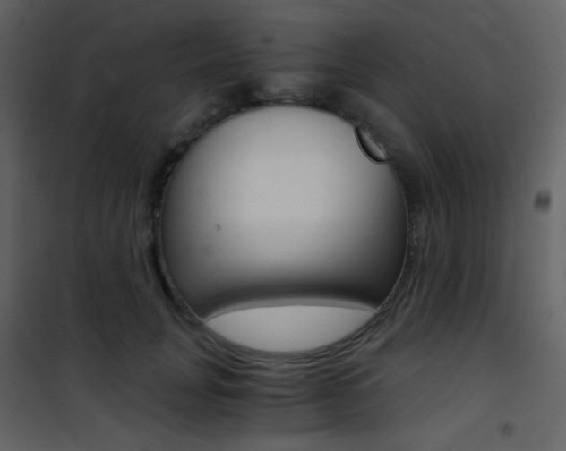 X0000101950751200807171133