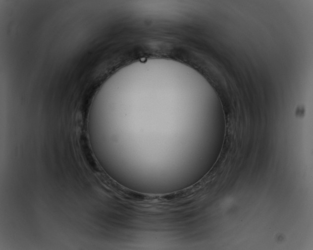 X0000101950752200807171133