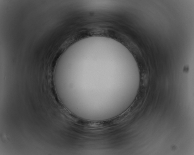 X0000101950753200807171133