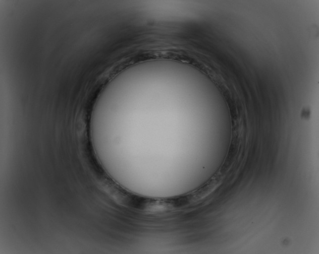 X0000101950754200807171133