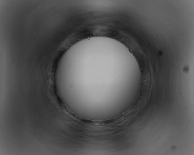 X0000101950755200807171133