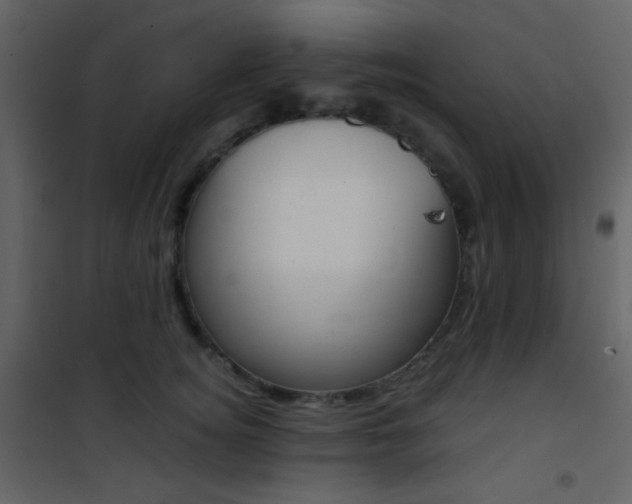 X0000101950756200807171133